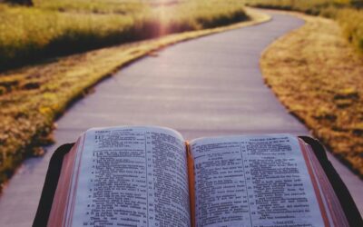 Nurturing Abundance through Obedience